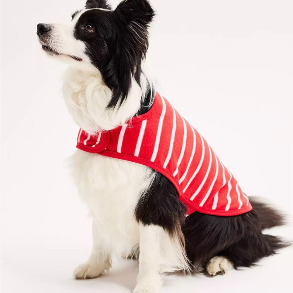 Dog Outfit NWT - Picture 1 of 3